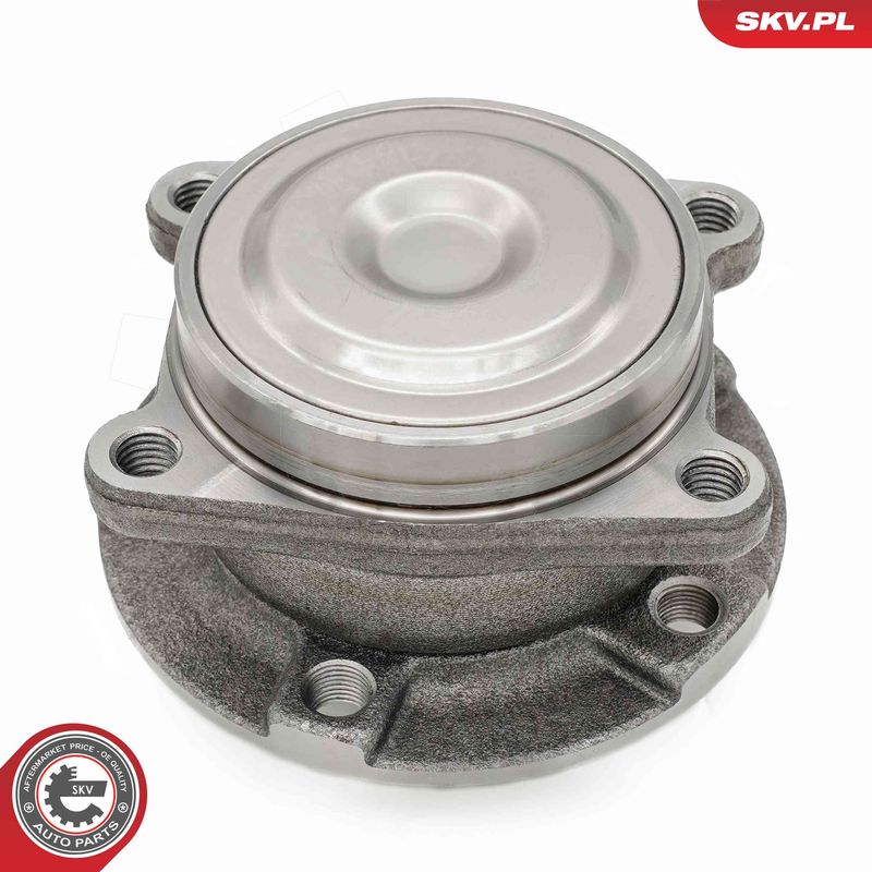 ESEN SKV 29SKV609 Wheel Bearing Kit