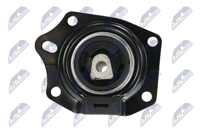 Paigutus, Mootor, NTY ZPS-CH-014