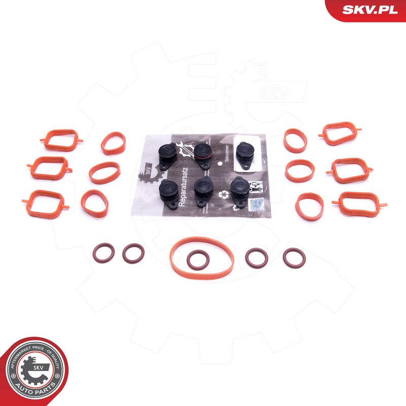 Remondikomplekt, imitoru moodul, ESEN SKV 49SKV562