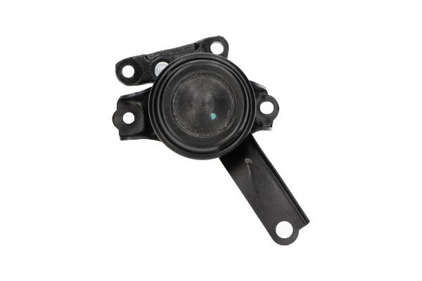 Kavo Parts Variklio montavimas