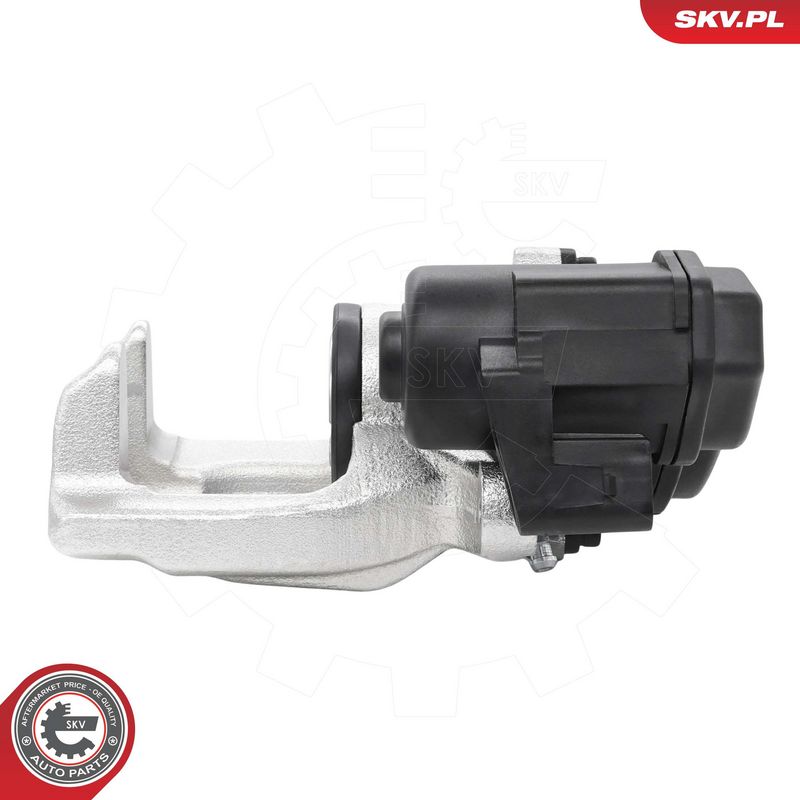 Pidurisadul, ESEN SKV 79SKV593