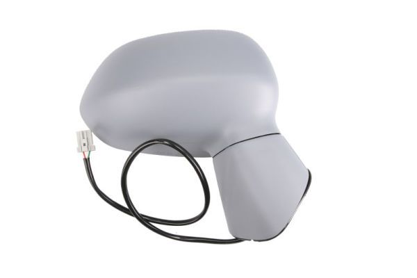 BLIC 5402-04-1122922P Exterior Mirror