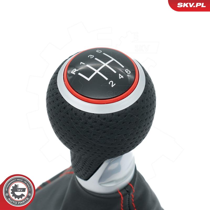 Käigukanginupp, ESEN SKV 63SKV413