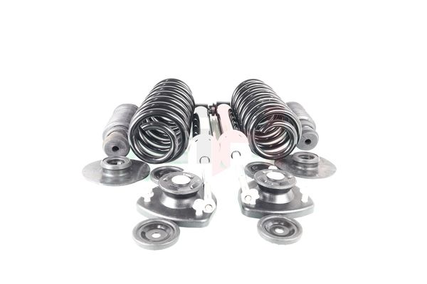 GH GH-331505S01 Suspension Kit, springs/shock absorbers