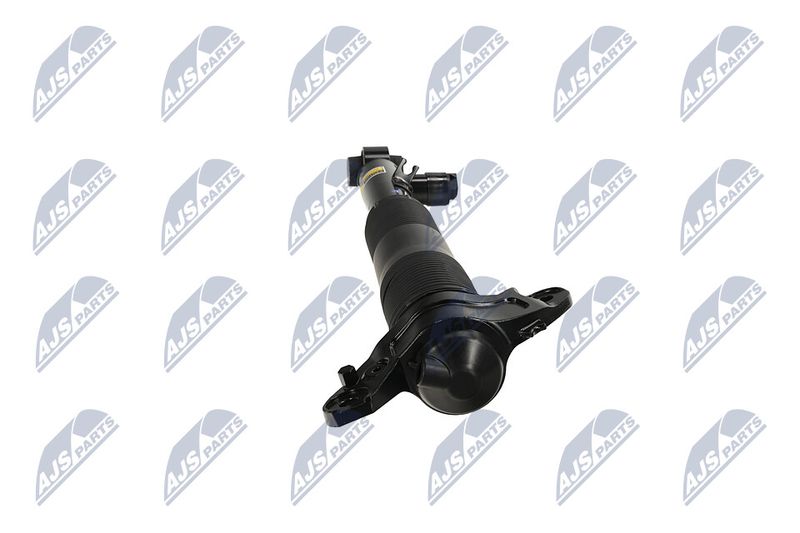 Amort, NTY A-LR-036