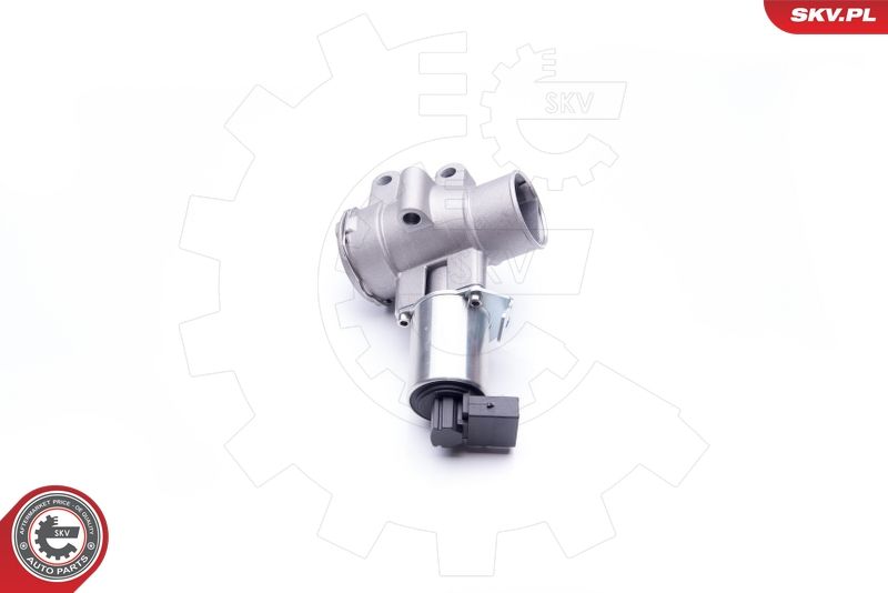 ESEN SKV 14SKV186 EGR Valve