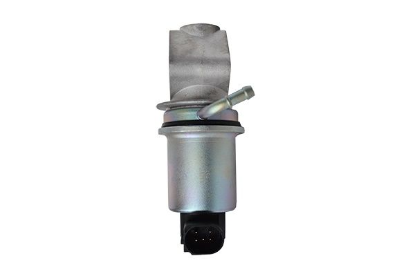 ASAM AUTOMOTIVE 74219 ERG Valve