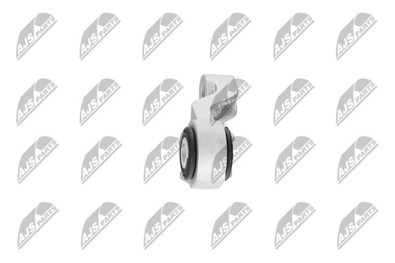 Paigutus, Mootor, NTY ZPS-CH-120