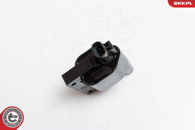 ESEN SKV 03SKV089 Ignition Coil