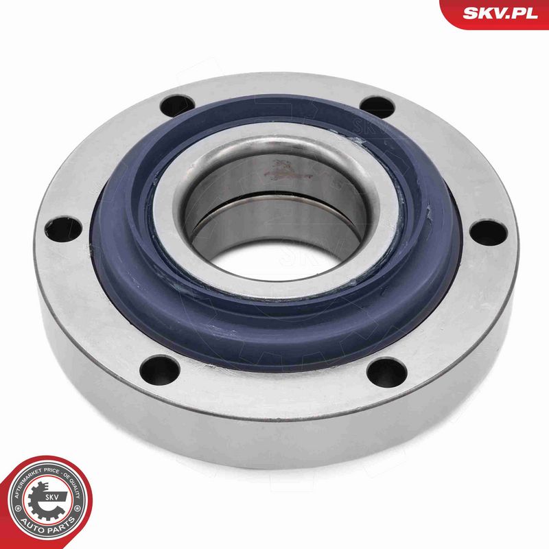 ESEN SKV 29SKV703 Wheel Bearing Kit