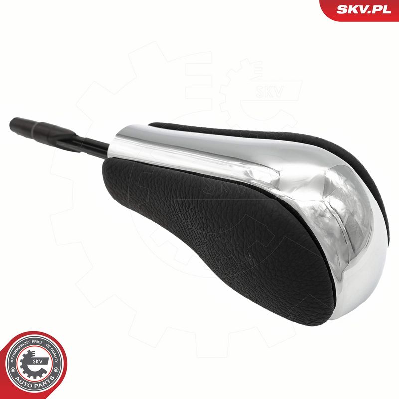 Käigukanginupp, ESEN SKV...