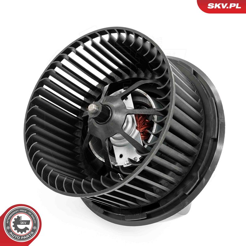 Salongipuhur, ESEN SKV...