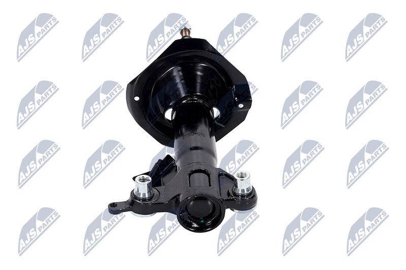 Amort, NTY A-NS-015