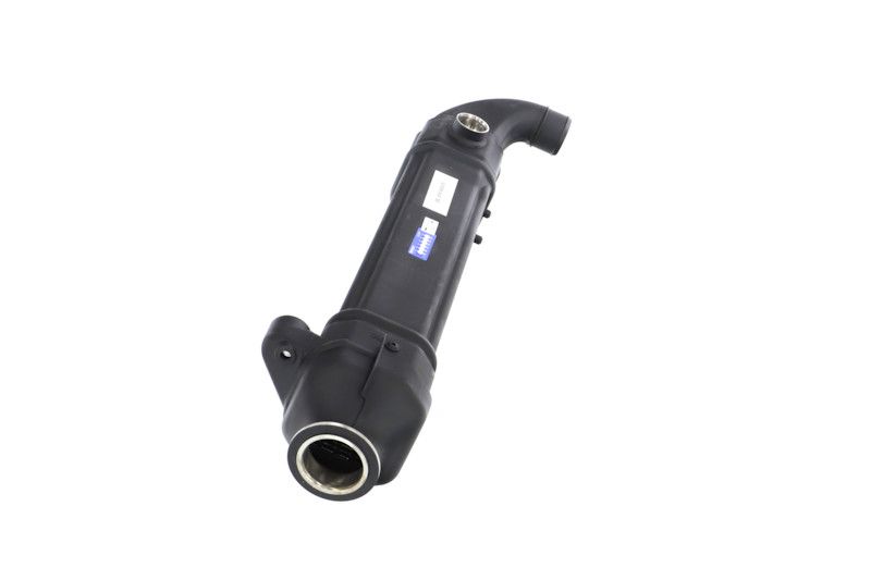 REMANTE 010-001-000025R EGR Module