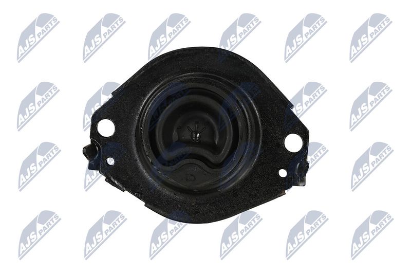 Paigutus, Mootor, NTY ZPS-CH-076