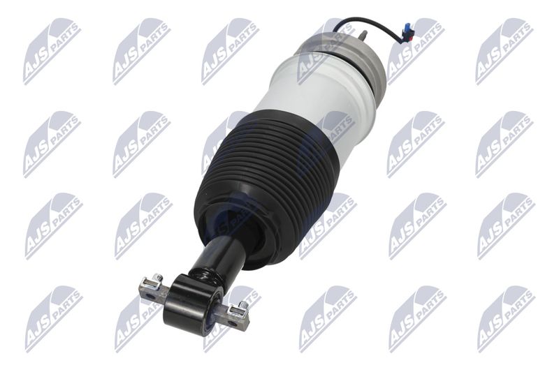 Amort, NTY A-CH-098