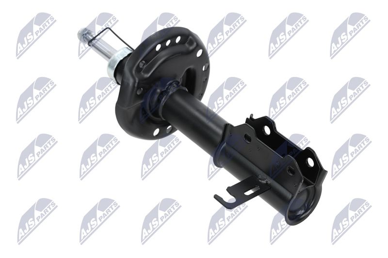 Amort, NTY A-PL-029
