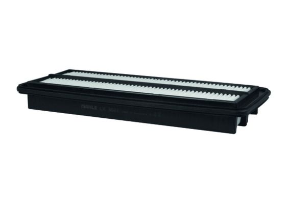 79731748.JPG