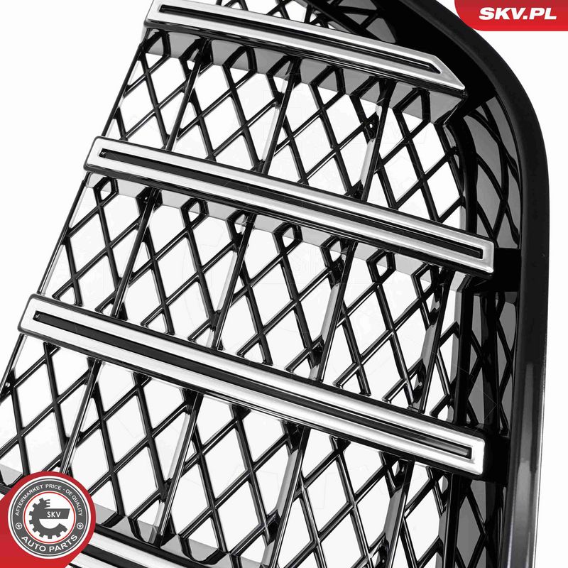 Radiaatorivõre, ESEN SKV 66SKV543