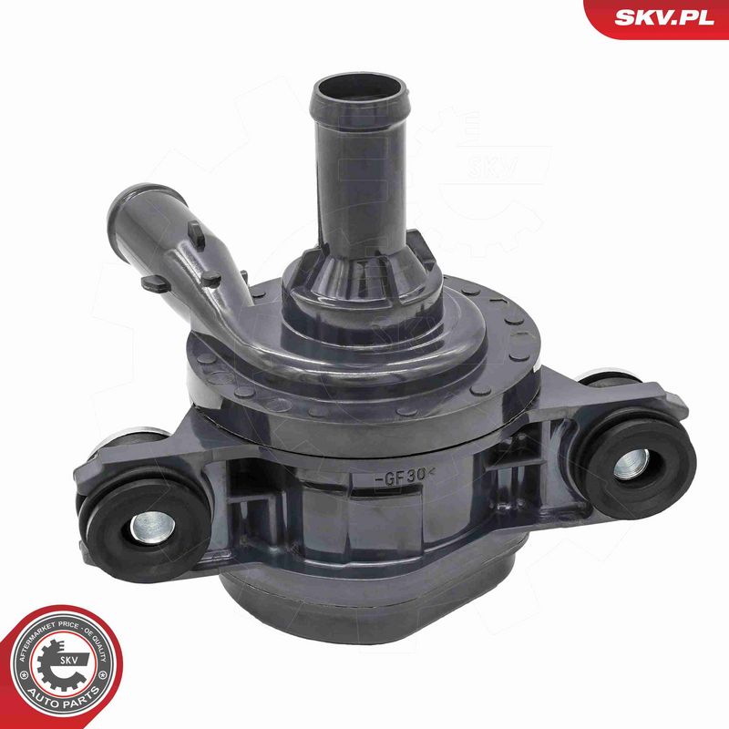 ESEN SKV 22SKV081 Auxiliary Water Pump (cooling water circuit)