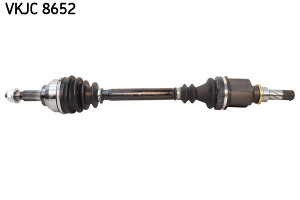 VKJC 8652.JPG