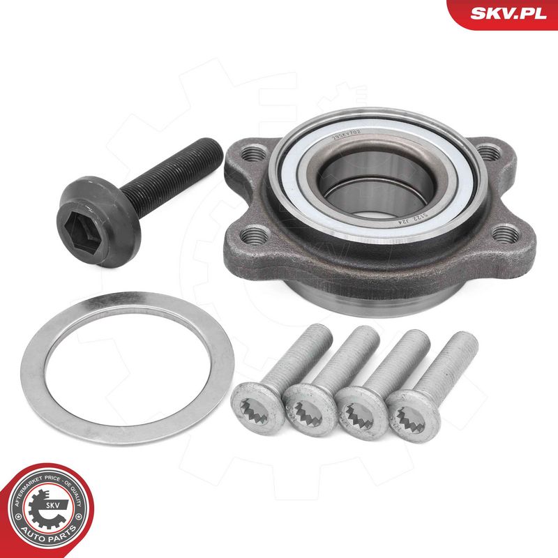 ESEN SKV 29SKV702 - Rato guolio komplektas
