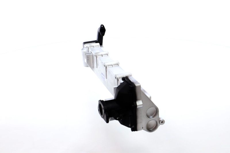 REMANTE 010-001-000029R EGR Module