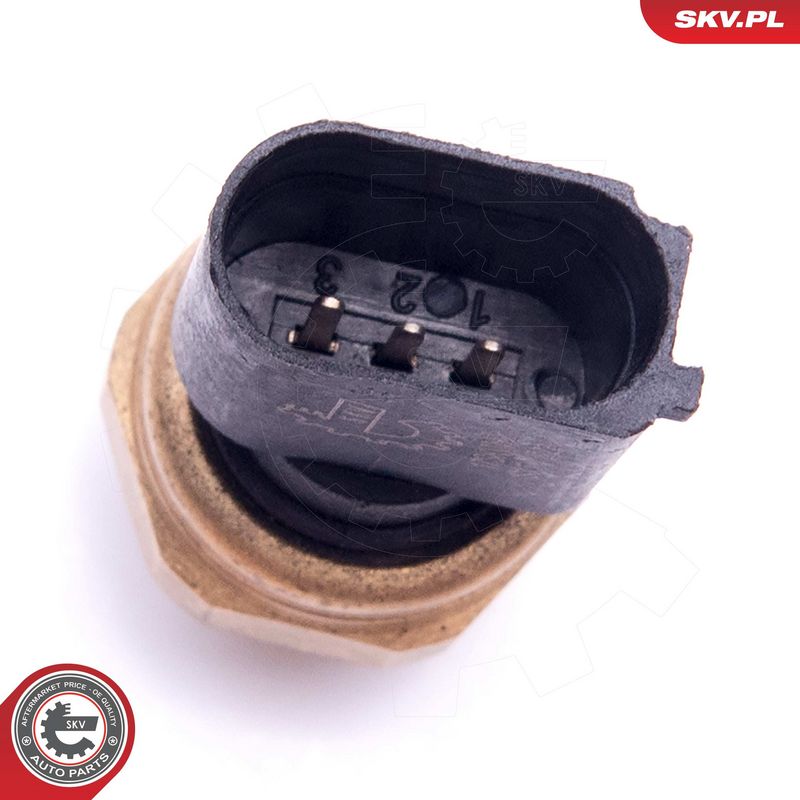 Andur, kütuserõhk, ESEN SKV...