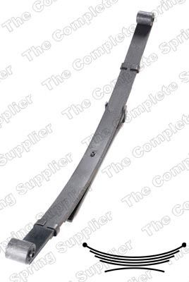 6119103.JPG