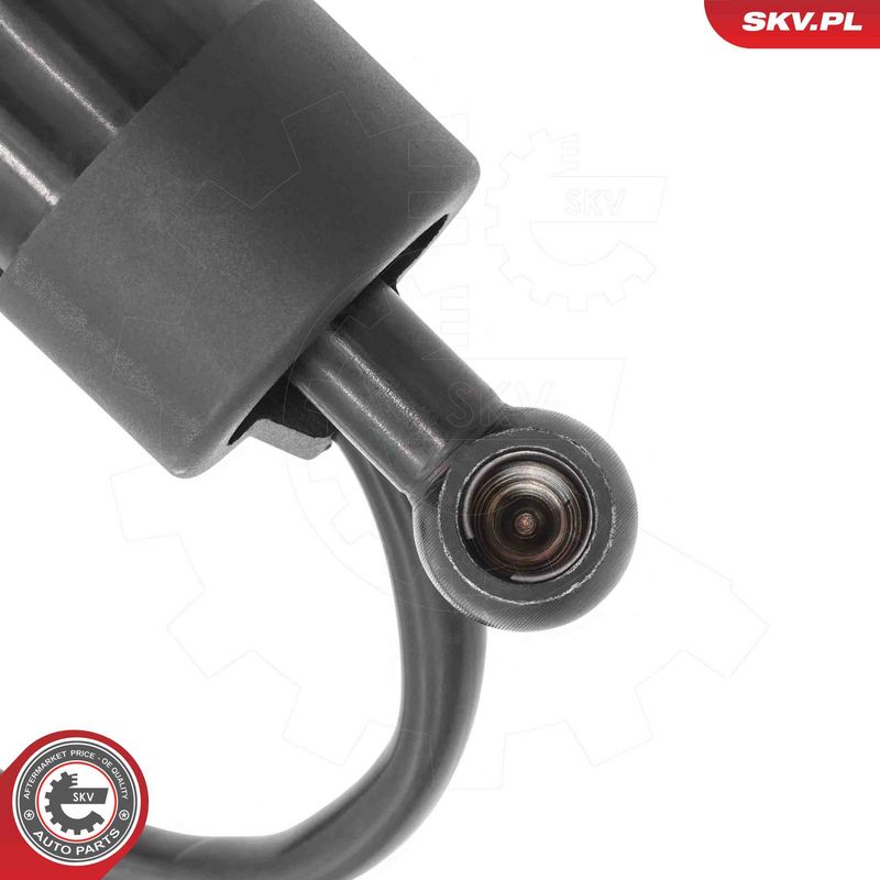 ESEN SKV 52SKV263 Electric Motor, tailgate