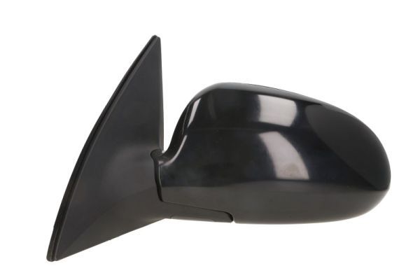 BLIC 5402-20-2002841P Exterior Mirror