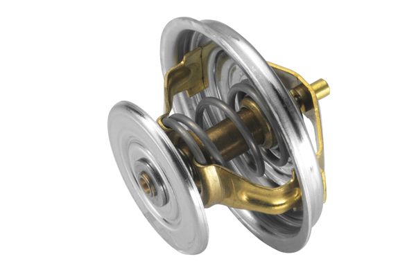 BorgWarner (Wahler) 4030.80 Thermostat, coolant