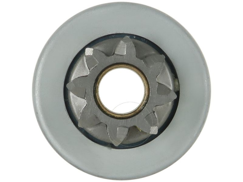 Vabajooks, starter, AS-PL SD3042