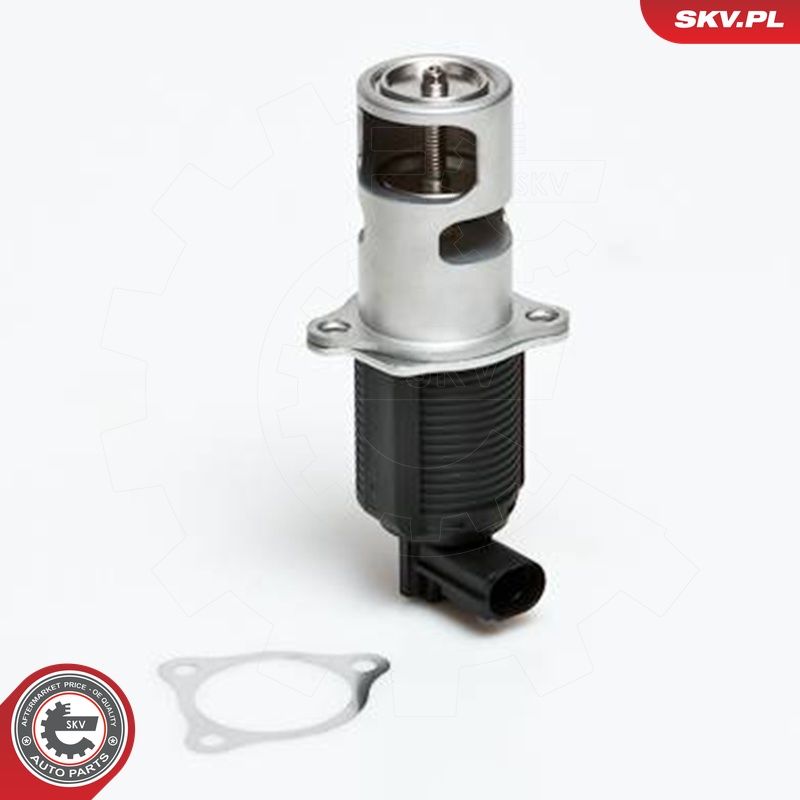 EGR-klapp, ESEN SKV 14SKV032