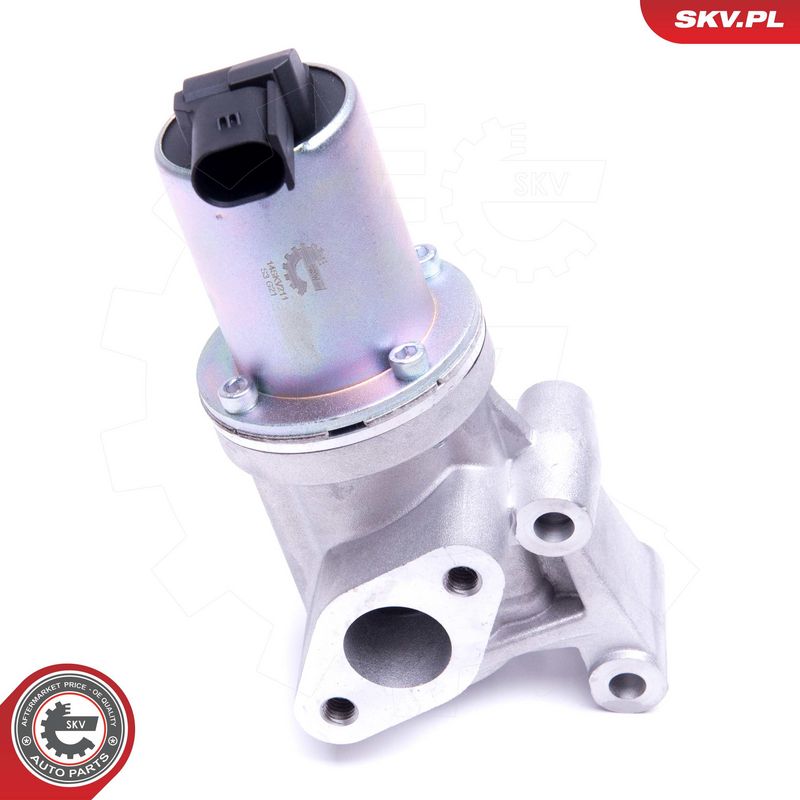 EGR-klapp, ESEN SKV 14SKV211