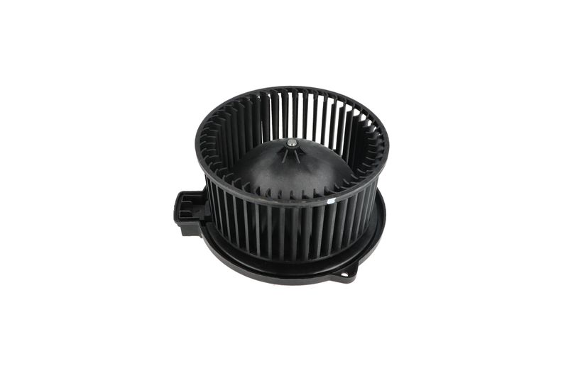 Salongipuhur, NRF 34331