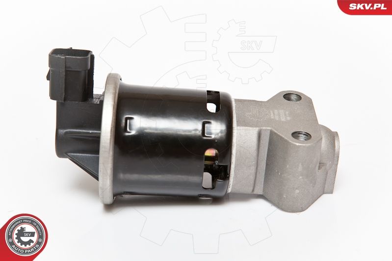 ESEN SKV 14SKV059 EGR Valve