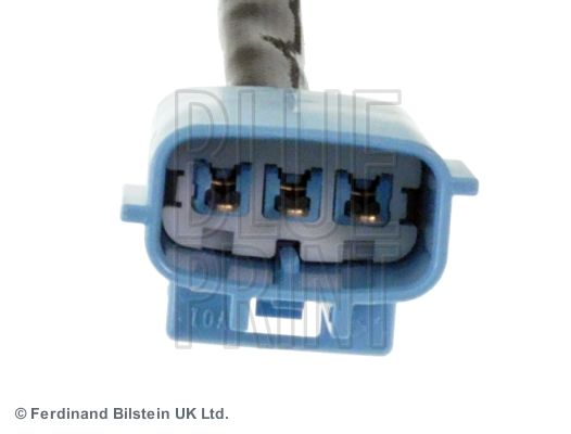 ADN17012_2.JPG