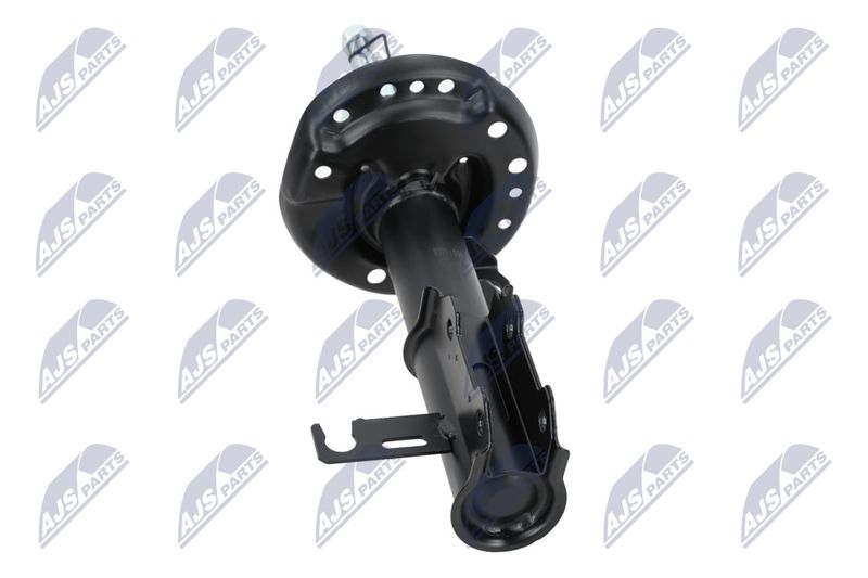 Amort, NTY A-PL-029