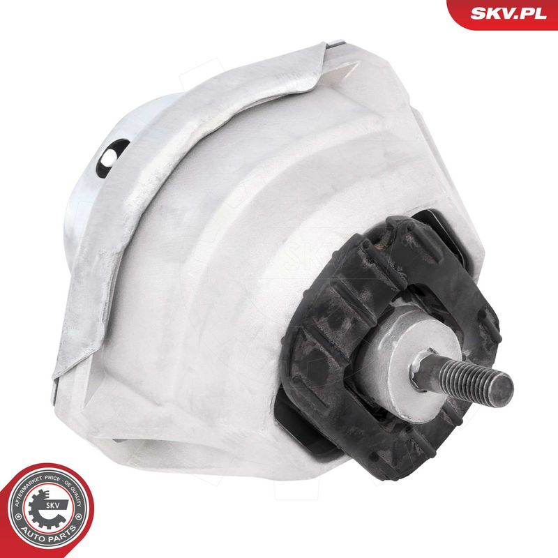 Paigutus, Mootor, ESEN SKV 75SKV287