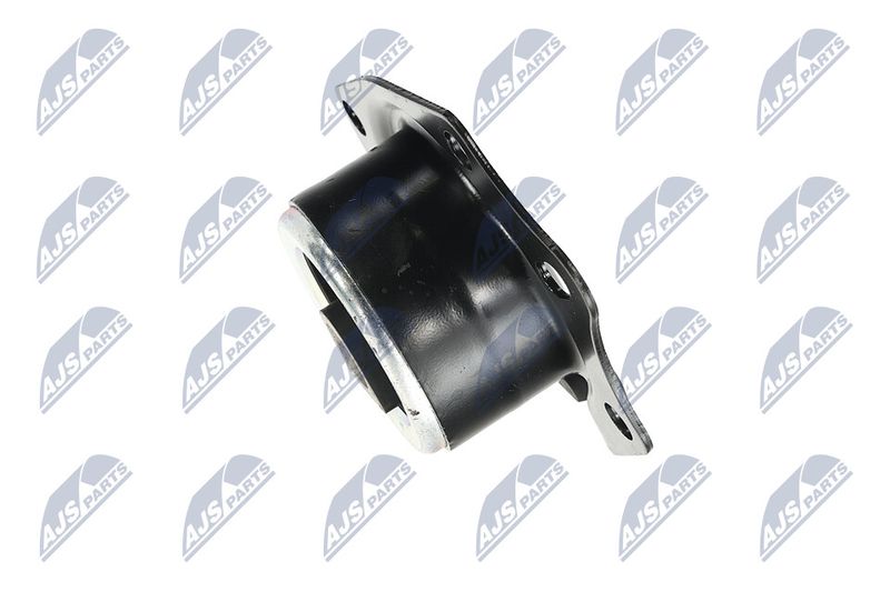 Paigutus, Mootor, NTY ZPS-CH-014