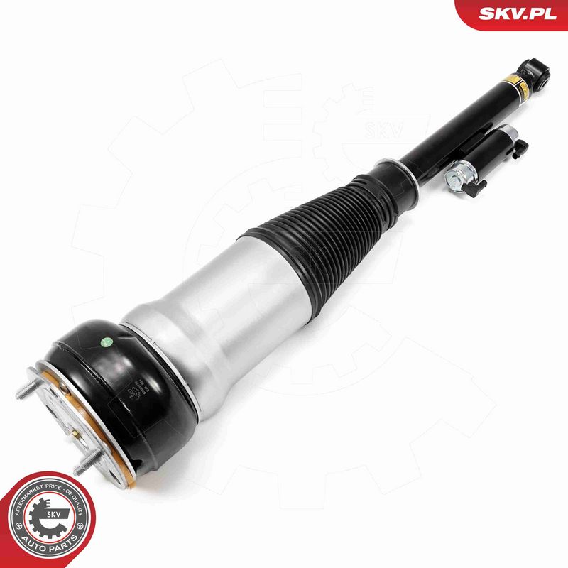 ESEN SKV 58SKV726 Air Suspension Strut