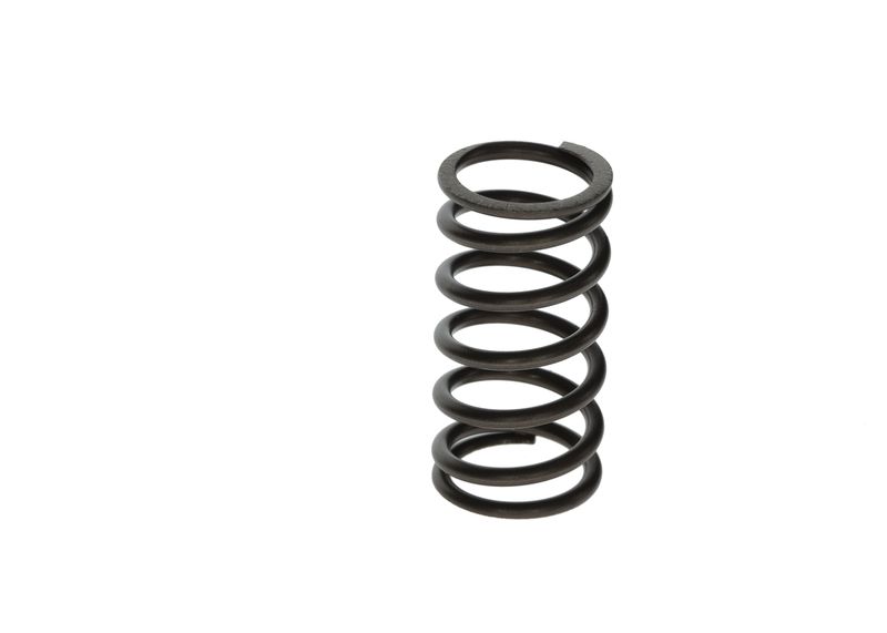 BOSCH F00N201853 Spring