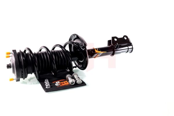 Vedruamort, GH GH-352388C01