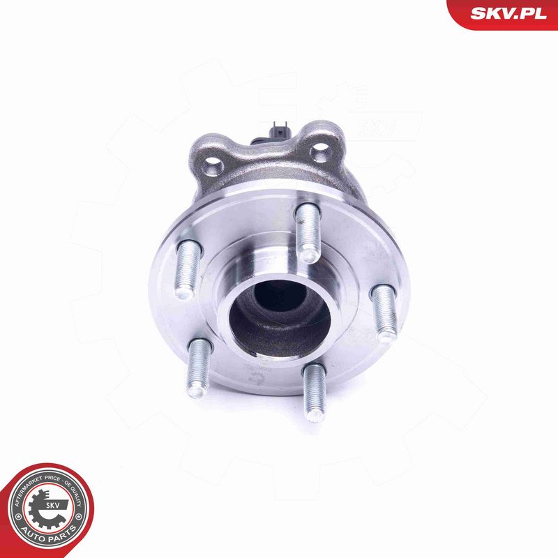 ESEN SKV 29SKV310 Wheel Bearing Kit