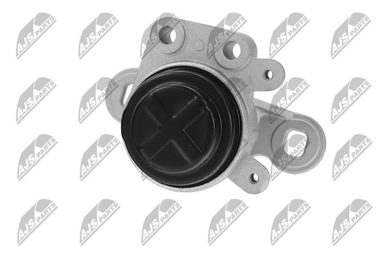 Paigutus, Mootor, NTY ZPS-FR-044