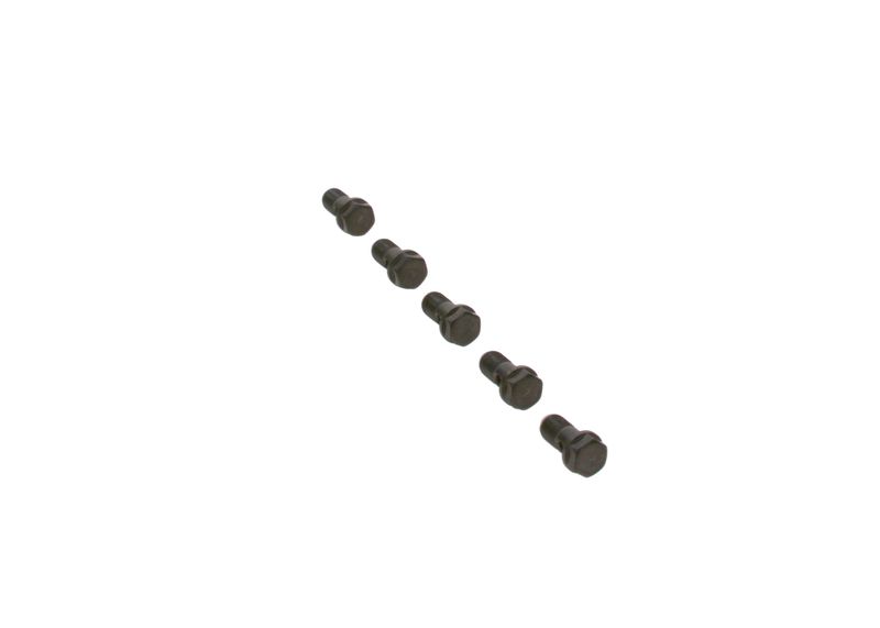 Surub F 019 D01 024 BOSCH