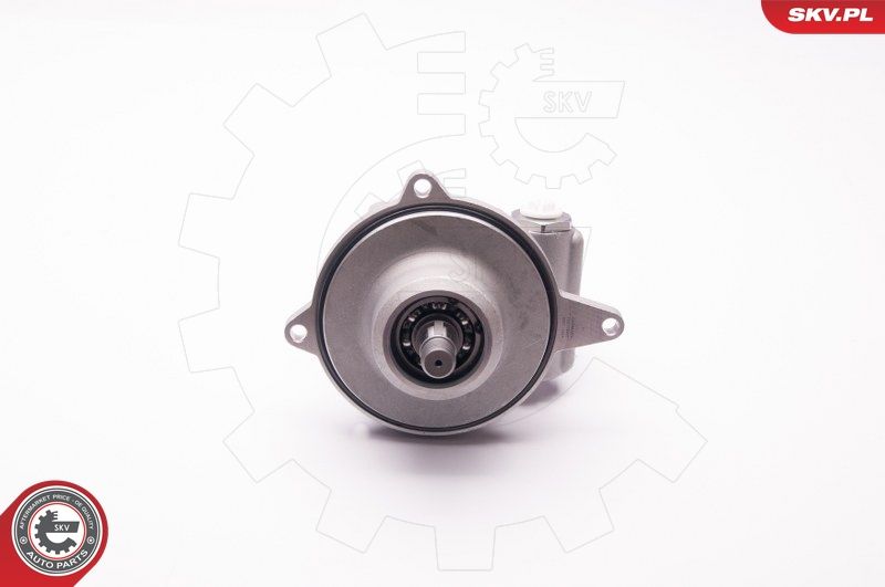 ESEN SKV 1SKV0007 Hydraulic Pump, steering