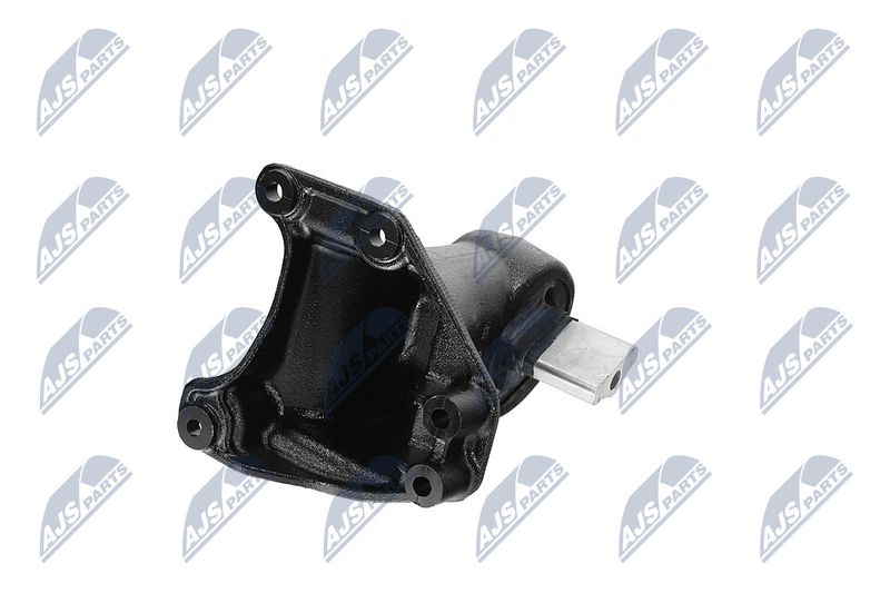 Paigutus, Mootor, NTY ZPS-CH-173