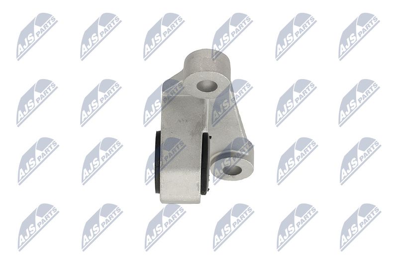 Paigutus, Mootor, NTY ZPS-CH-118